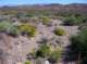 imgp4265_small.jpg